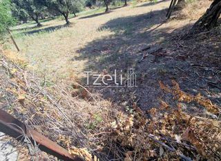 Οικόπεδο 650 τ.μ. για πώληση, Αχαΐα, Πάτρα-thumb-27
