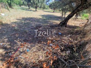 Οικόπεδο 650 τ.μ. για πώληση, Αχαΐα, Πάτρα-thumb-5