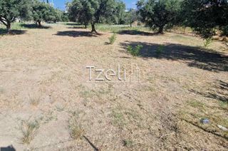 Οικόπεδο 650 τ.μ. για πώληση, Αχαΐα, Πάτρα-thumb-29