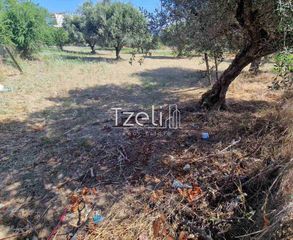 Οικόπεδο 650 τ.μ. για πώληση, Αχαΐα, Πάτρα-thumb-17