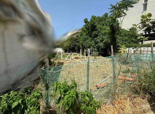Οικόπεδο 150 τ.μ. για πώληση, Αχαΐα, Πάτρα-thumb-23