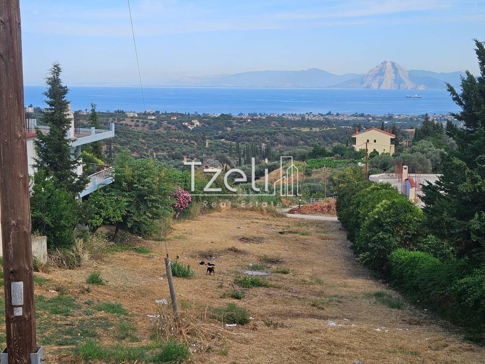 Οικόπεδο 1.386 τ.μ. για πώληση, Αχαΐα, Μεσσατίδα