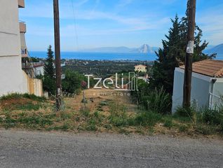 Οικόπεδο 1.386 τ.μ. για πώληση, Αχαΐα, Μεσσατίδα-thumb-16