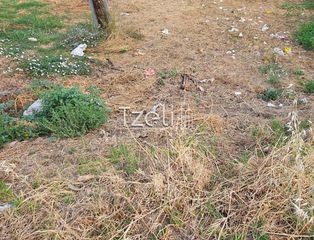 Οικόπεδο 1.386 τ.μ. για πώληση, Αχαΐα, Μεσσατίδα-thumb-8