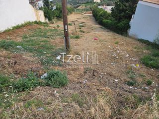 Οικόπεδο 1.386 τ.μ. για πώληση, Αχαΐα, Μεσσατίδα-thumb-28