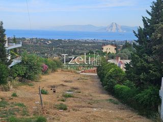 Οικόπεδο 1.386 τ.μ. για πώληση, Αχαΐα, Μεσσατίδα-thumb-5