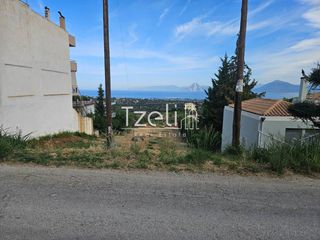 Οικόπεδο 1.386 τ.μ. για πώληση, Αχαΐα, Μεσσατίδα-thumb-7