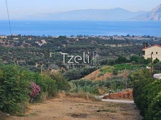 Οικόπεδο 1.386 τ.μ. για πώληση, Αχαΐα, Μεσσατίδα-thumb-11