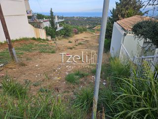 Οικόπεδο 1.386 τ.μ. για πώληση, Αχαΐα, Μεσσατίδα-thumb-19
