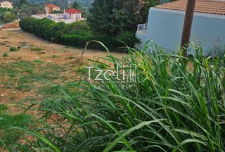 Οικόπεδο 1.386 τ.μ. για πώληση, Αχαΐα, Μεσσατίδα-thumb-12