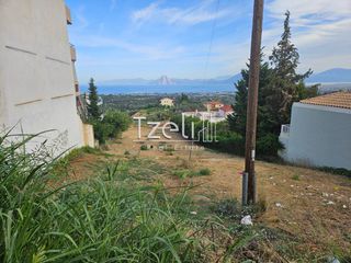 Οικόπεδο 1.386 τ.μ. για πώληση, Αχαΐα, Μεσσατίδα-thumb-24