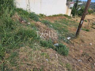 Οικόπεδο 1.386 τ.μ. για πώληση, Αχαΐα, Μεσσατίδα-thumb-6