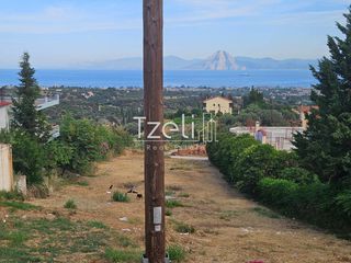 Οικόπεδο 1.386 τ.μ. για πώληση, Αχαΐα, Μεσσατίδα-thumb-20