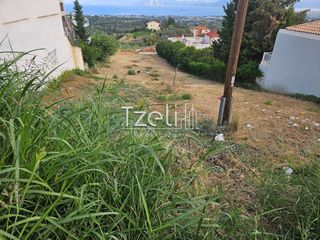 Οικόπεδο 1.386 τ.μ. για πώληση, Αχαΐα, Μεσσατίδα-thumb-22