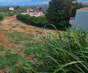 Οικόπεδο 1.386 τ.μ. για πώληση, Αχαΐα, Μεσσατίδα-thumb-27