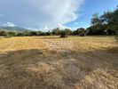 Land plot 10.000sqm for rent-Patra » Anthias