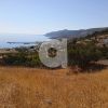 Parcel 9.429sqm for sale-Kythira » Agia Pelagia