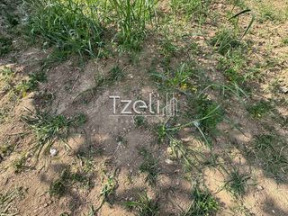 Οικόπεδο 281 τ.μ. για πώληση, Αχαΐα, Πάτρα-thumb-27