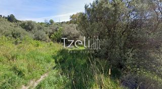 Αγροτεμάχια 1.160 τ.μ. για πώληση