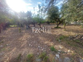 Αγροτεμάχια 2.684 τ.μ. για πώληση, Αχαΐα, Πάτρα-thumb-9