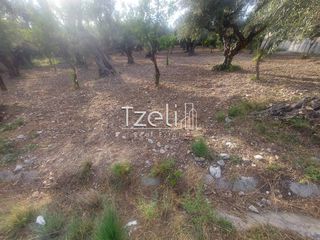 Αγροτεμάχια 2.684 τ.μ. για πώληση, Αχαΐα, Πάτρα-thumb-13