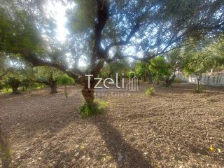 Αγροτεμάχια 2.684 τ.μ. για πώληση, Αχαΐα, Πάτρα-thumb-29