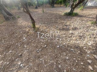 Αγροτεμάχια 2.684 τ.μ. για πώληση, Αχαΐα, Πάτρα-thumb-6