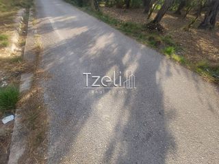 Αγροτεμάχια 2.684 τ.μ. για πώληση, Αχαΐα, Πάτρα-thumb-15