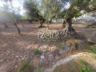Αγροτεμάχια 2.684 τ.μ. για πώληση, Αχαΐα, Πάτρα-thumb-1
