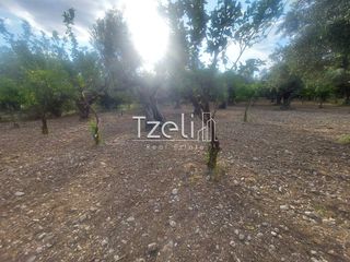 Αγροτεμάχια 2.684 τ.μ. για πώληση, Αχαΐα, Πάτρα-thumb-21
