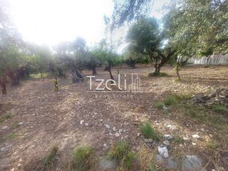 Αγροτεμάχια 2.684 τ.μ. για πώληση, Αχαΐα, Πάτρα-thumb-17