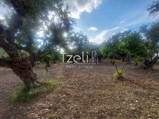 Αγροτεμάχια 2.684 τ.μ. για πώληση, Αχαΐα, Πάτρα-thumb-22