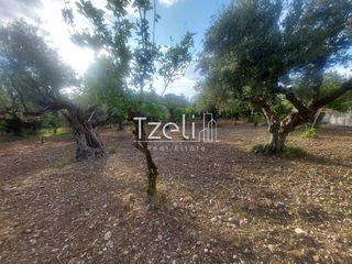 Αγροτεμάχια 2.684 τ.μ. για πώληση, Αχαΐα, Πάτρα-thumb-14