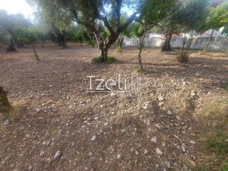 Αγροτεμάχια 2.684 τ.μ. για πώληση, Αχαΐα, Πάτρα-thumb-20