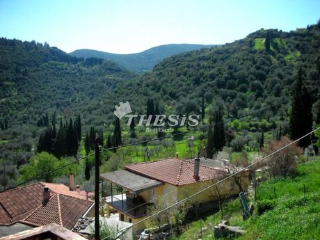 Διαμέρισμα 378τ.μ. για πώληση-Δαύλεια » Κέντρο