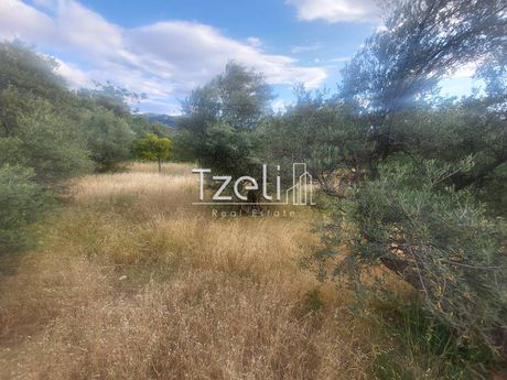 Parcel 1.700sqm for sale-Patra » Perivolia