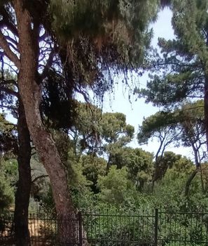 Parcel 904sqm for sale-Xilokastro » Psila Alonia