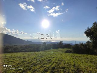 Οικόπεδο 4.500 τ.μ. για πώληση