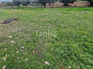 Οικόπεδο 1.670 τ.μ. για πώληση, Αχαΐα, Μεσσατίδα-thumb-11