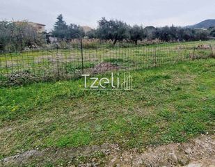 Οικόπεδο 1.670 τ.μ. για πώληση, Αχαΐα, Μεσσατίδα-thumb-4