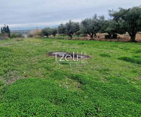 Οικόπεδο 1.670 τ.μ. για πώληση, Αχαΐα, Μεσσατίδα-thumb-1