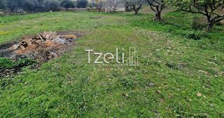 Οικόπεδο 1.670 τ.μ. για πώληση, Αχαΐα, Μεσσατίδα-thumb-24