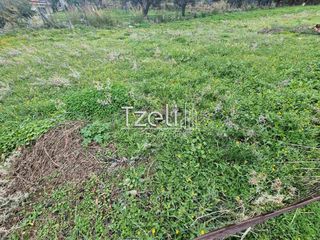 Οικόπεδο 1.670 τ.μ. για πώληση, Αχαΐα, Μεσσατίδα-thumb-17
