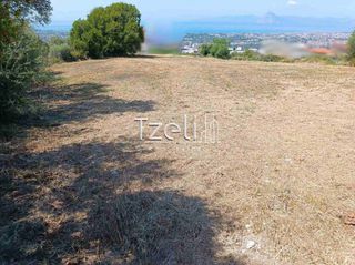 Οικόπεδο 2.600 τ.μ. για πώληση, Αχαΐα, Μεσσατίδα-thumb-10