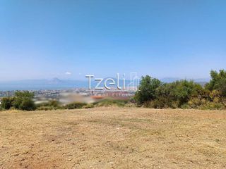 Οικόπεδο 2.600 τ.μ. για πώληση
