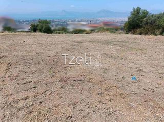 Οικόπεδο 2.600 τ.μ. για πώληση, Αχαΐα, Μεσσατίδα-thumb-28