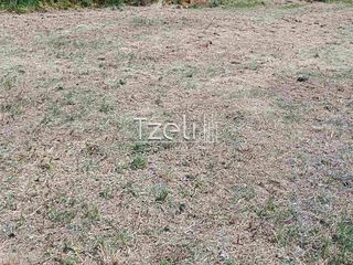 Οικόπεδο 2.600 τ.μ. για πώληση, Αχαΐα, Μεσσατίδα-thumb-3