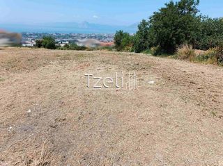 Οικόπεδο 2.600 τ.μ. για πώληση, Αχαΐα, Μεσσατίδα-thumb-16