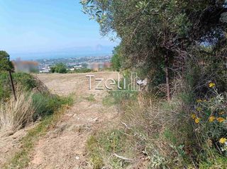 Οικόπεδο 2.600 τ.μ. για πώληση, Αχαΐα, Μεσσατίδα-thumb-6