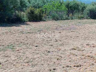 Οικόπεδο 2.600 τ.μ. για πώληση, Αχαΐα, Μεσσατίδα-thumb-15